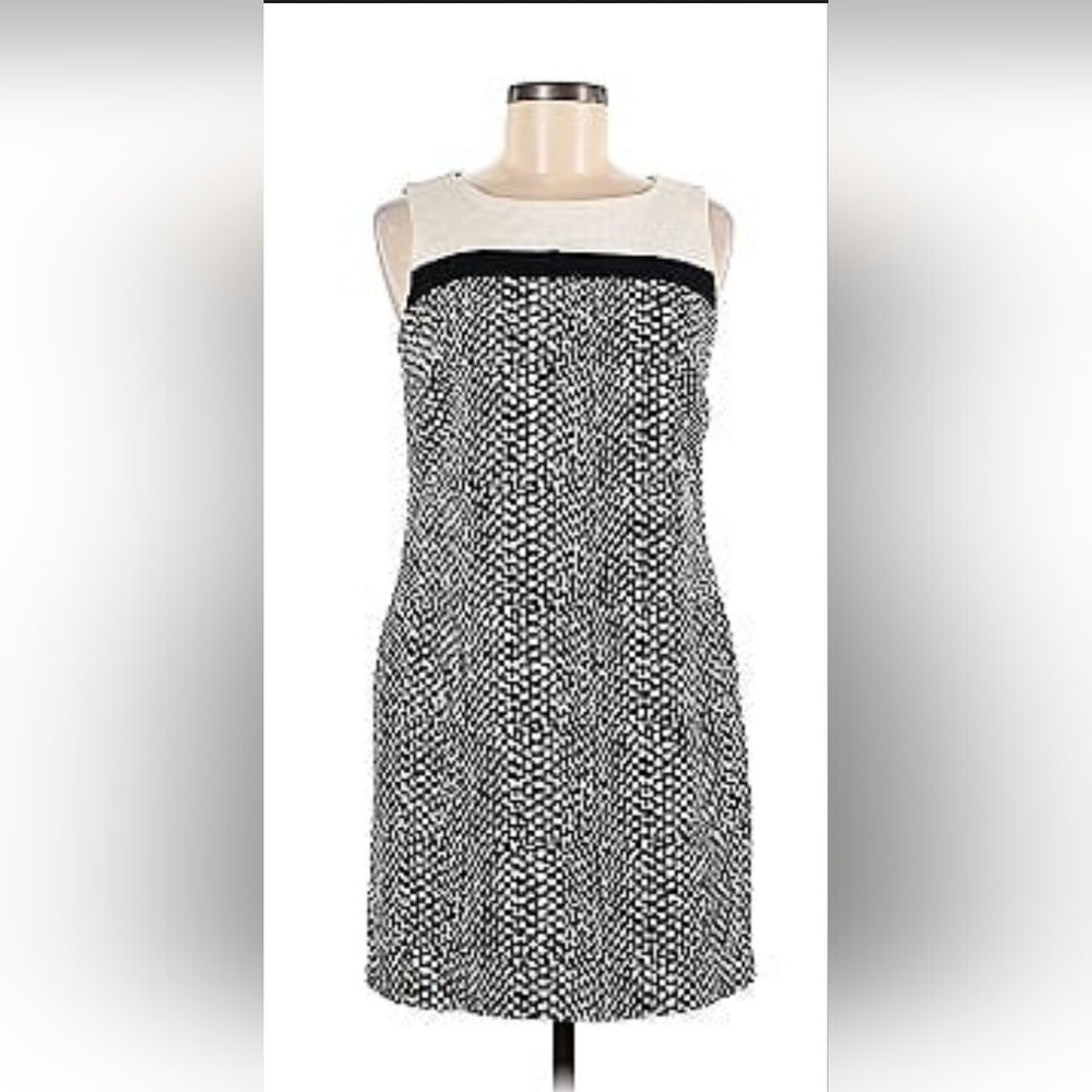 DANA BUCHMAN DRESS